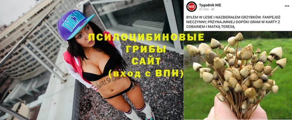 альфа пвп Ельня